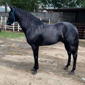 Meet your Posher, Juan